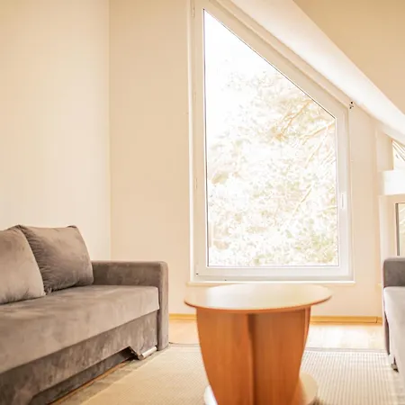 Kopu Draugai Palanga