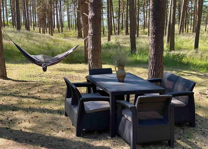 Kopu Draugai Palanga